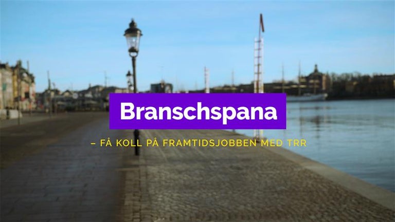 bild fran trrs webbinarium branschspana med transportsektorn
