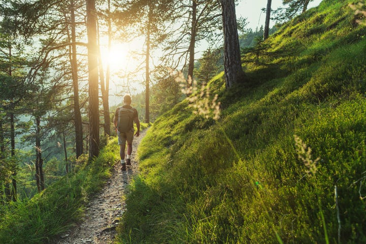 man som promenerar i skog sommartid